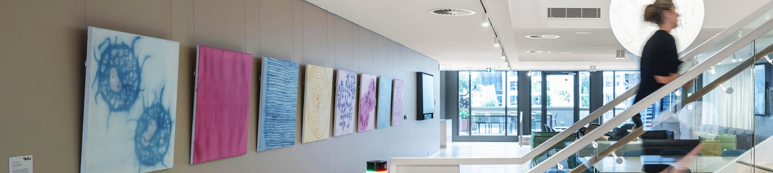 Installation view, Artbank client DLA Piper Australia featuring artworks by Isobel Johnston, 2025. Photo: Nicole England