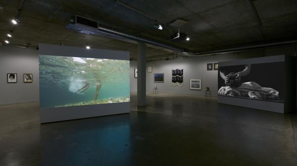 IN A WORLD OF WOUNDS