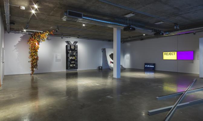 NSW VISUAL ARTIST FELLOWSHIP